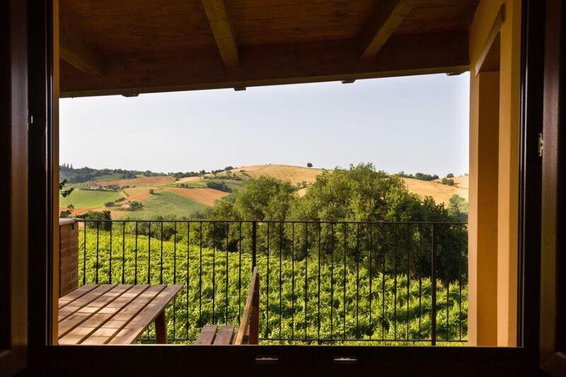 Agriturismo Vecchio Gelso Ortezzano Ngoại thất bức ảnh