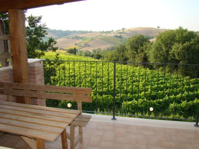 Agriturismo Vecchio Gelso Ortezzano Ngoại thất bức ảnh