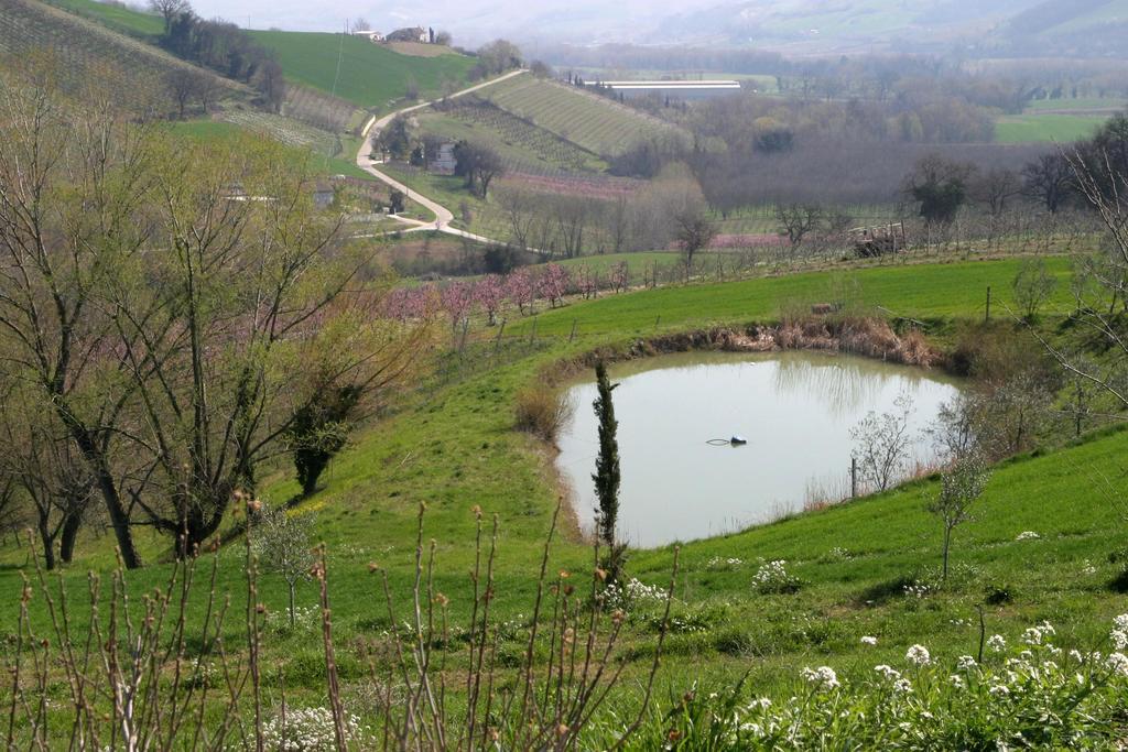Agriturismo Vecchio Gelso Ortezzano Ngoại thất bức ảnh