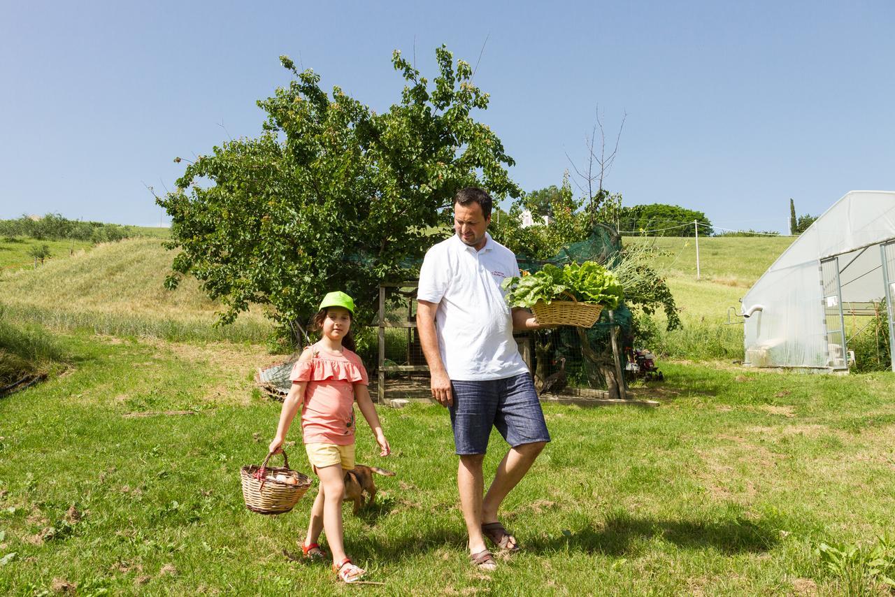Agriturismo Vecchio Gelso Ortezzano Ngoại thất bức ảnh